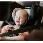 Aeromoov Αντι-ιδρωτικό κάλυμμα Air Layer 9-18kg για κάθισμα αυτοκινήτου Group 1 Circus Tiger AL-1-CT