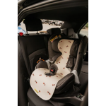 Aeromoov Αντι-ιδρωτικό κάλυμμα Air Layer 9-18kg για κάθισμα αυτοκινήτου - Group 1 Bug AL-1-LBG