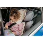 Aeromoov Αντι-ιδρωτικό κάλυμμα Air Layer 15-36kg για κάθισμα αυτοκινήτου - Group 2 Bug AL-2-LBG Aeromoov Αντι-ιδρωτικό κάλυμμα Air Layer 15-36kg για κάθισμα αυτοκινήτου - Group 2 Bug AL-2-LBG