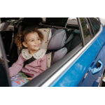 Aeromoov Αντι-ιδρωτικό κάλυμμα Air Layer 15-36kg για κάθισμα αυτοκινήτου - Group 2 Bug AL-2-LBG Aeromoov Αντι-ιδρωτικό κάλυμμα Air Layer 15-36kg για κάθισμα αυτοκινήτου - Group 2 Bug AL-2-LBG