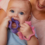 b.box Μασητικό Οδοντοφυΐας Σιλικόνης Wrist Teether Fox Sage BB100310