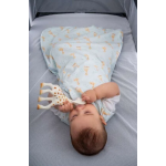 BabyBliss Υπνόσακος Φθινοπωρινός/Ανοιξιάτικος 0-6m με ποδαράκια από οργανικό βαμβάκι 1.0 tog Ciel BLISS-SAC-S004 BabyBliss Υπνόσακος Φθινοπωρινός/Ανοιξιάτικος 0-6m με ποδαράκια από οργανικό βαμβάκι 1.0 tog Ciel BLISS-SAC-S004