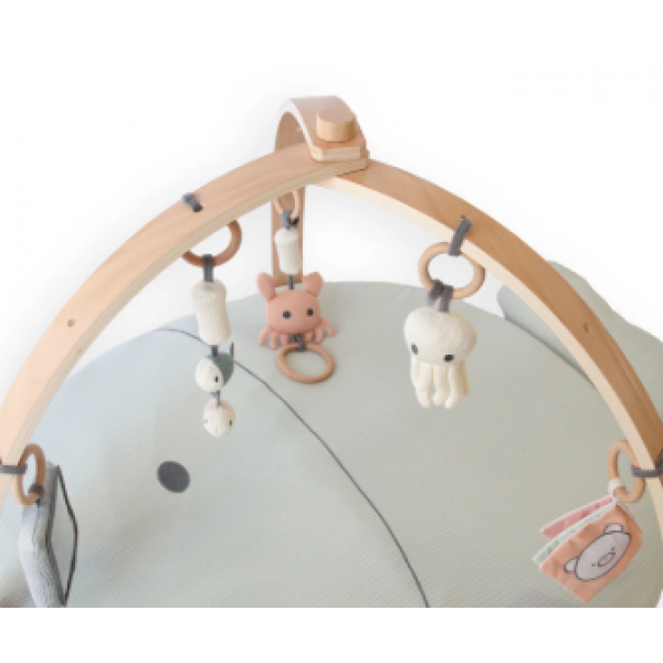 BAMBOOM Σετ Κρεμαστά Παιχνίδια για το Χαλάκι Δραστηριοτήτων Fishes 5τμχ 916-242