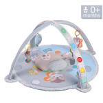Bebe Stars Γυμναστήριο Bear 100-178