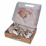 Bebe stars Σετ Δώρου 5τμχ Teddy Bear Nature 60-102