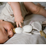 BabyOno Μαλακό Πανάκι Παρηγοριάς ZOE Χήνα BN1556 BabyOno Μαλακό Πανάκι Παρηγοριάς ZOE Χήνα BN1556