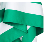 Dock & Bay Πετσέτα θαλάσσης Quickdry L (160x90cm) Cancun Green 5060668830925