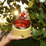 eco life Στρογγυλό Θερμός Φαγητού 650ml Κίτρινο 5208009003601 eco life Στρογγυλό Θερμός Φαγητού 650ml Κίτρινο 5208009003601