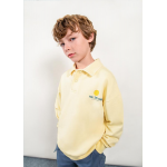 Boston Μπλούζα Πόλο Κίτρινο 26-06422-310