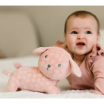 Miffy Λούτρινο Σκυλάκι Από Βελουτέ Ύφασμα 25cm Ροζ Miffy 47-3897 Miffy Λούτρινο Σκυλάκι Από Βελουτέ Ύφασμα 25cm Ροζ Miffy 47-3897