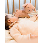 Miffy Λούτρινο Σκυλάκι Από Βελουτέ Ύφασμα 25cm Ροζ Miffy 47-3897 Miffy Λούτρινο Σκυλάκι Από Βελουτέ Ύφασμα 25cm Ροζ Miffy 47-3897