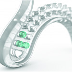 NUVITA Μασάζ ούλων 7003 Engish Rose 2m+ NU-IBOC0032