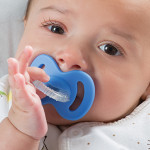 NUVITA Μασάζ ούλων 7003 Engish Rose 2m+ NU-IBOC0032