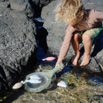 SunnyLife Παιχνίδι Παραλίας Fishing Game Apple Sorbet Multi 26180193