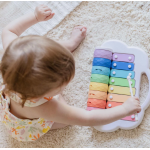 Tiger Tribe Rainbow Roller Ξυλόφωνο 20320 (1-1031)