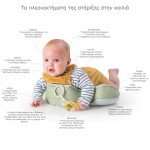 Taf Toys Tummy time pillow T-12895 