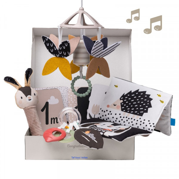 Taf Toys Newborn Black White Kit T-13475