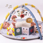 Taf Toys Γυμναστήριο Δραστηριοτήτων Melody Bloom Gym  T-13495