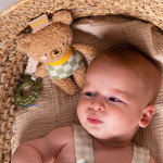 Taf Toys Κρεμαστό Αρκουδάκι Με Μασητικό Brendon T-13575