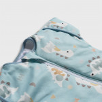 Tender Υπνόσακος Swaddle Arms Up Transition Dino 1.0 Tog  Σιελ  27721