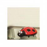 DreamBaby Φωτάκι Νυκτός Lady Bug BR74991