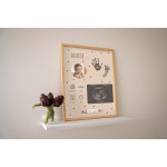 Petit Artichaut Birth frame PA2601
