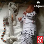 Zazu MAX Μαιμουδάκι Νανουρίσματος με Φωτάκι Νυκτός Λευκούς Ήχους Μελωδία ZA-MAX-01