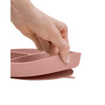 Kikka Boo Divided plate with suction base Platinum Silicone Blush 31302050034