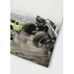 Mayoral Μπλουζα κοντ/κη σταμπα σταμ αμαξι 26-03071-057 3071