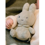 Λούτρινο Aπό Bελουτέ Ύφασμα 20cm Πράσινο Miffy